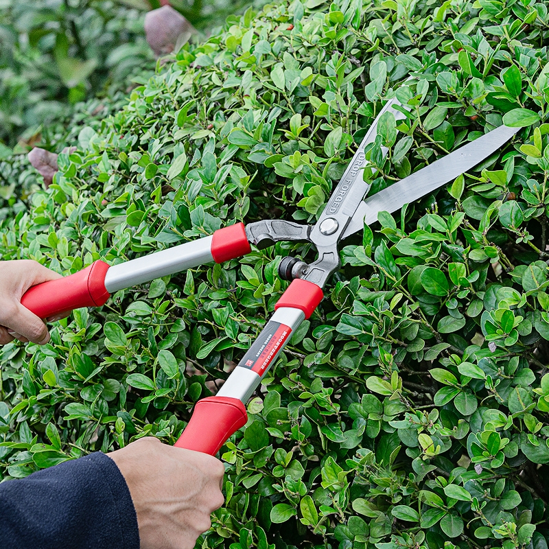 修枝锻打园艺剪绿篱剪草坪修剪花草树枝花剪剪刀