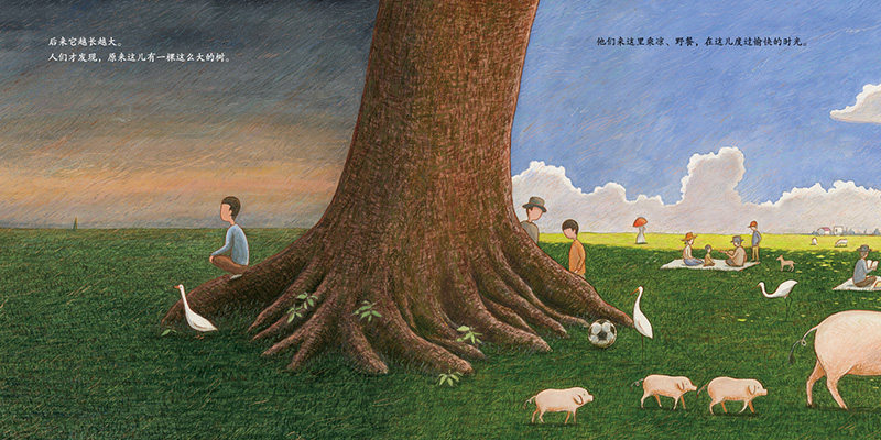 绘本树王童书哲理生命想象力气象万千方寸之间蒲蒲人与绘本