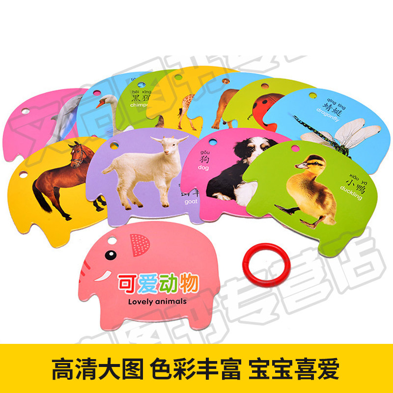 益智读物数字拼音颜色水果卡看图认知卡片