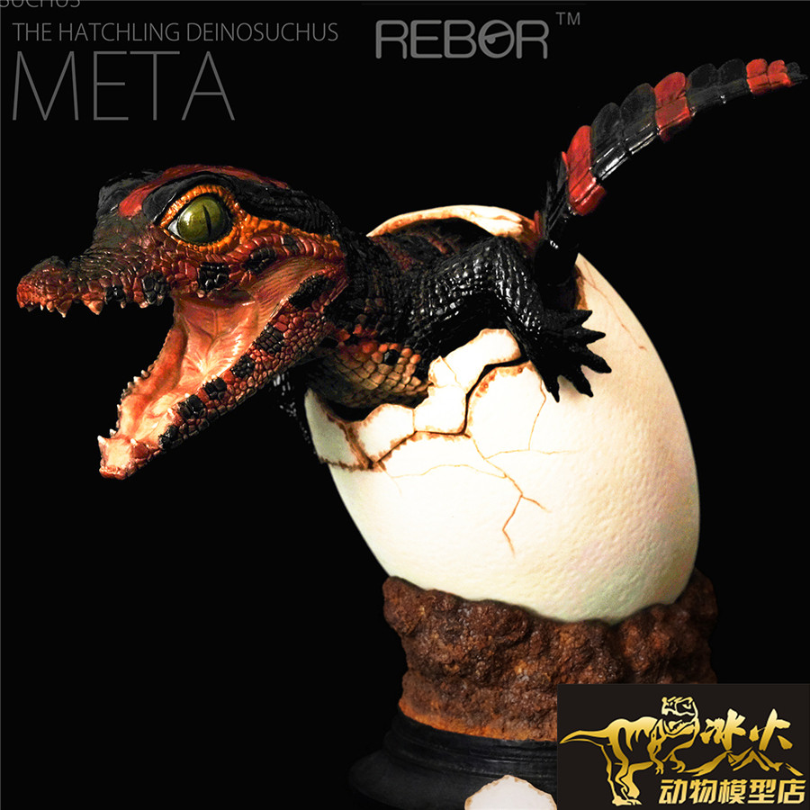 鳄鱼宝宝英国rebor孵化恐鳄出壳模型雕像限量鳄鱼仿真