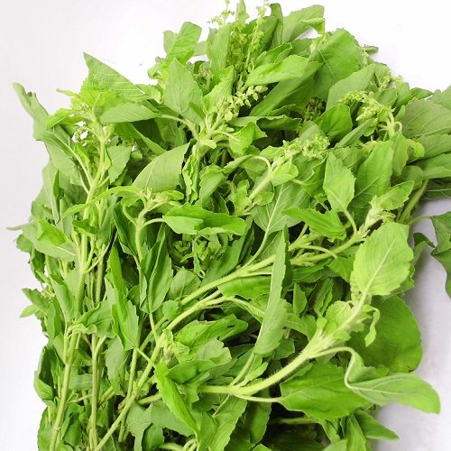 泰国越南菜配料 新鲜打抛叶 塔抛叶 嘎泡叶 呷抛 甲抛叶 500g