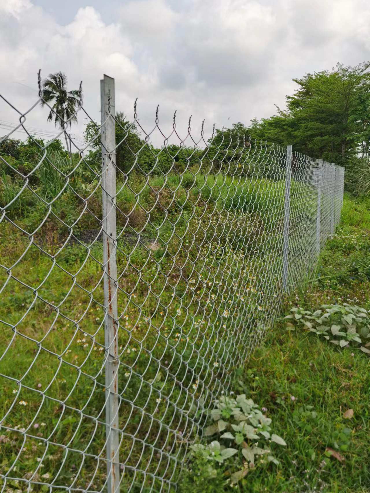 海口钢丝勾花厂家镀锌铁丝围栏养殖牛羊围地护栏