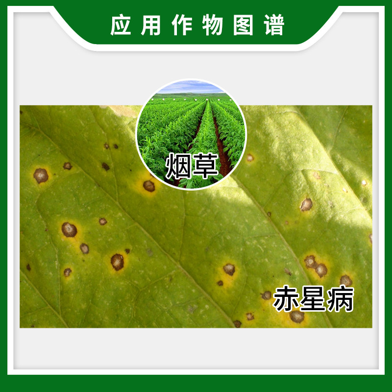 江西禾益40%菌核净 菌核浄烟草果蔬赤星病菌核病灰霉病农药杀菌剂