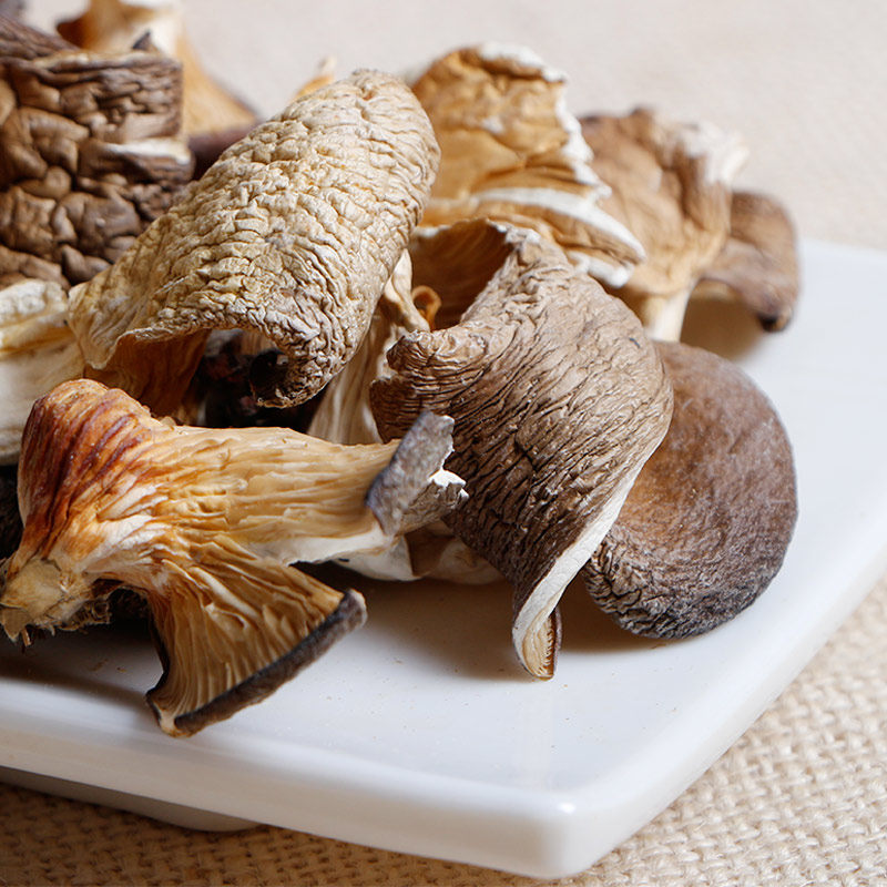 云南北风菌煲汤菌菇食材丰驿平菇菌新货鲍菇菌蘑菇特产菌干货80g