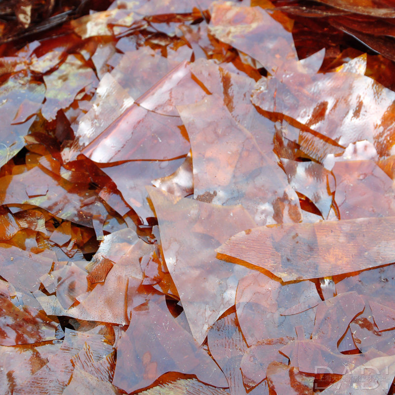 虫胶胶片漆片士力片天然速溶家具修理实木维修虫胶漆片