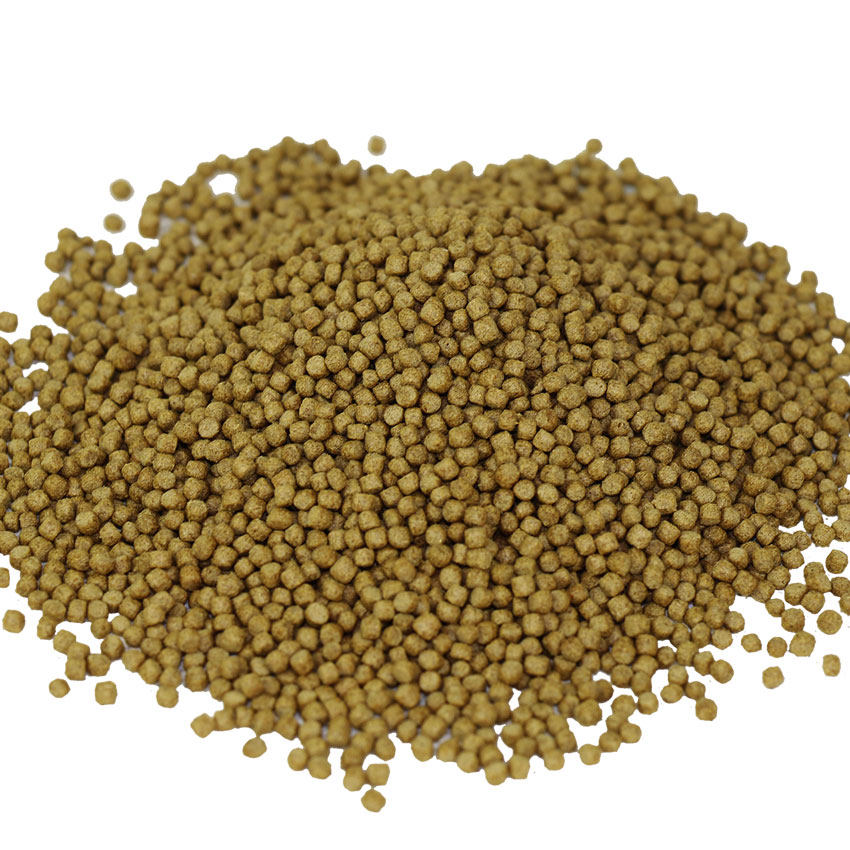 饲料红增散装彩色鱼金鱼鱼苗日本锦鲤鲤鱼观赏鱼观赏鱼饲料