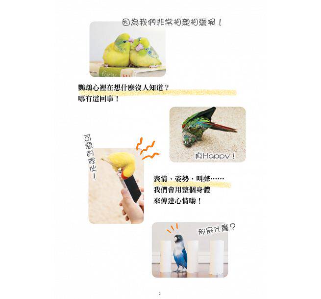 预定原版进口书 鹦鹉的肢体语言超好懂 17[汉欣][滨本麻衣]