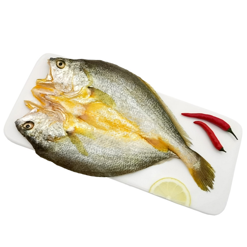 腌制黄鱼鲞咸黄鱼干海鲜黄鱼鲞宁德大黄鱼干福建特产黄花鱼黄瓜鱼