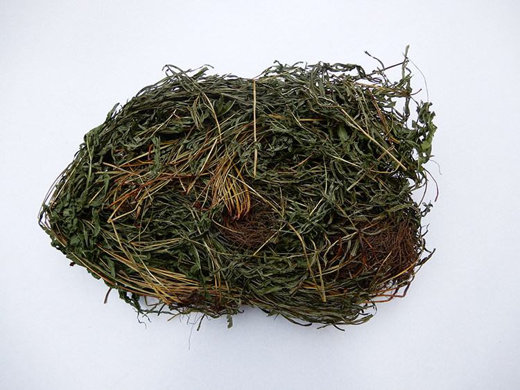 一斤带根野生凤尾草整颗鸡爪草带根鸡脚品包邮金其他药食同源食品