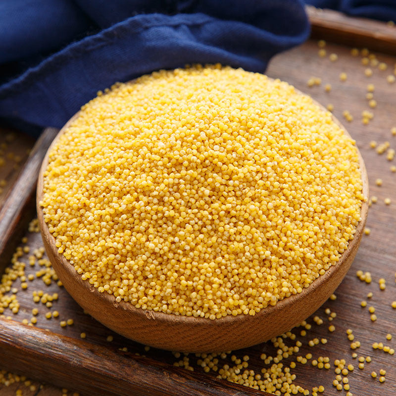 山西精选特产黄小米250g黄米粥孕妇粗粮米宝宝月子食用五谷杂粮粥
