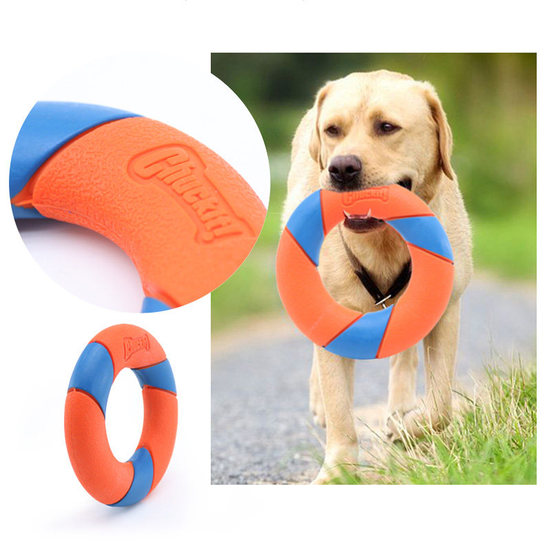 petmate狗狗玩具宠物用品中型大小耐咬齿边牧飞飞盘橡胶球