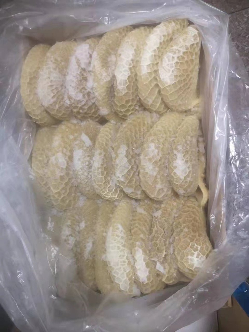 新鲜冷冻牛肚金钱鲜冻蜂窝40斤32斤左右卤水牛杂