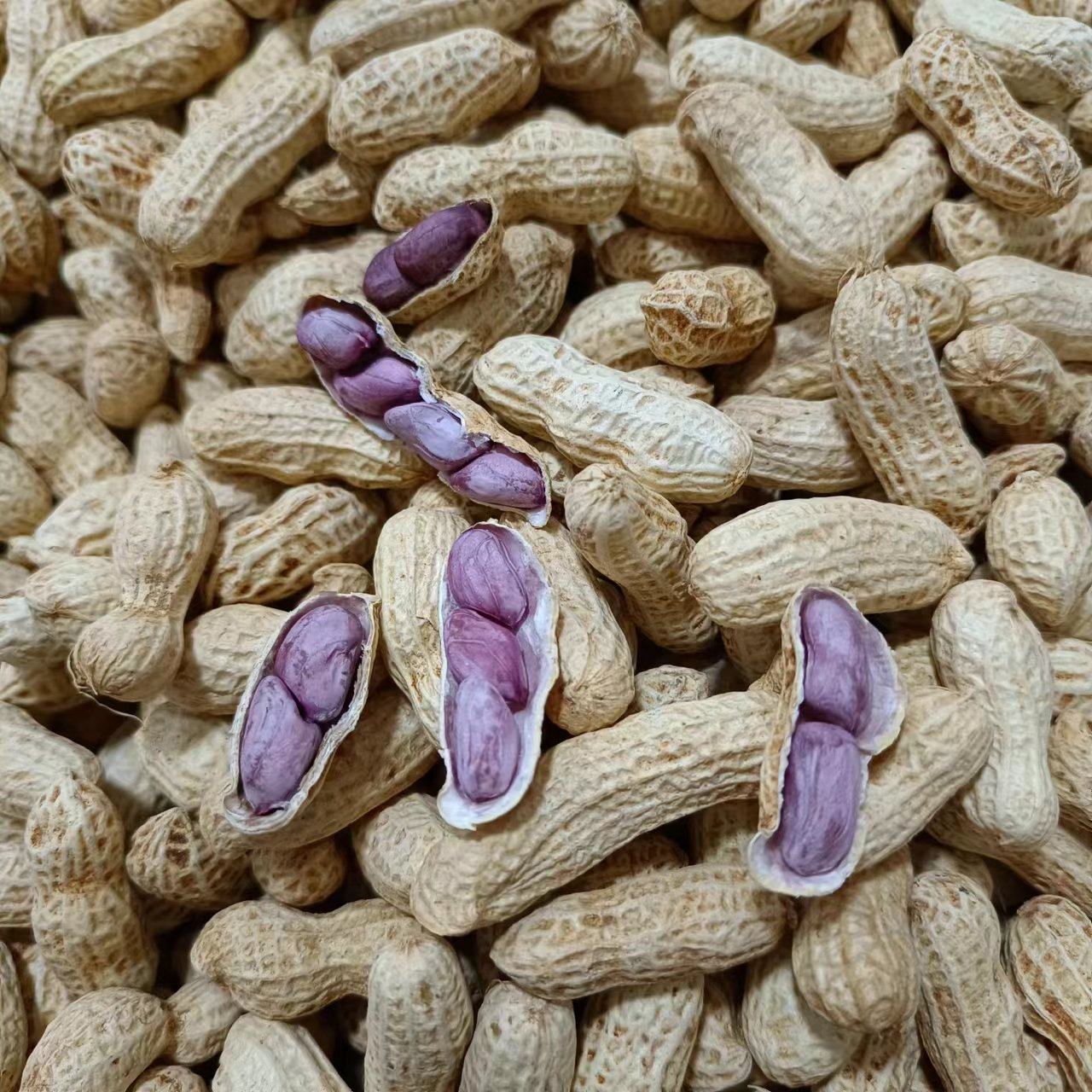 福建水煮香软特产晒干白晒干紫衣花生龙岩红衣花生