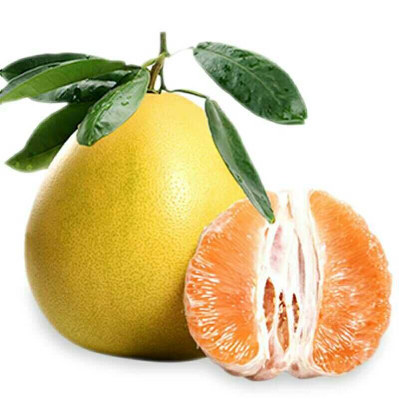 平和琯溪黄肉蜜柚 黄金柚管溪黄心黄肉柚子新鲜水果5斤包邮