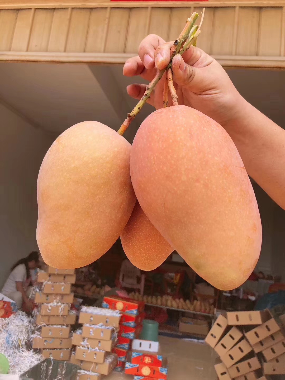 海南红玉玉文芒特大红芒果应季热带新鲜水果芒果