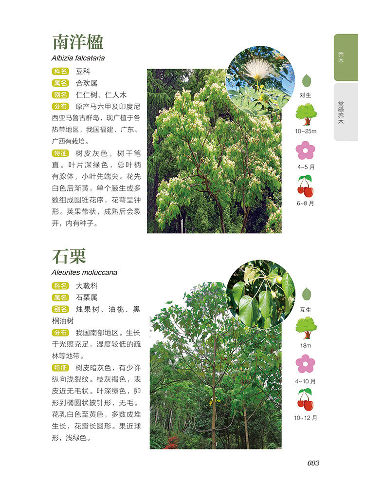 常见树木图鉴 新手入门轻松辨别282种常见树木 正版 书籍 植物