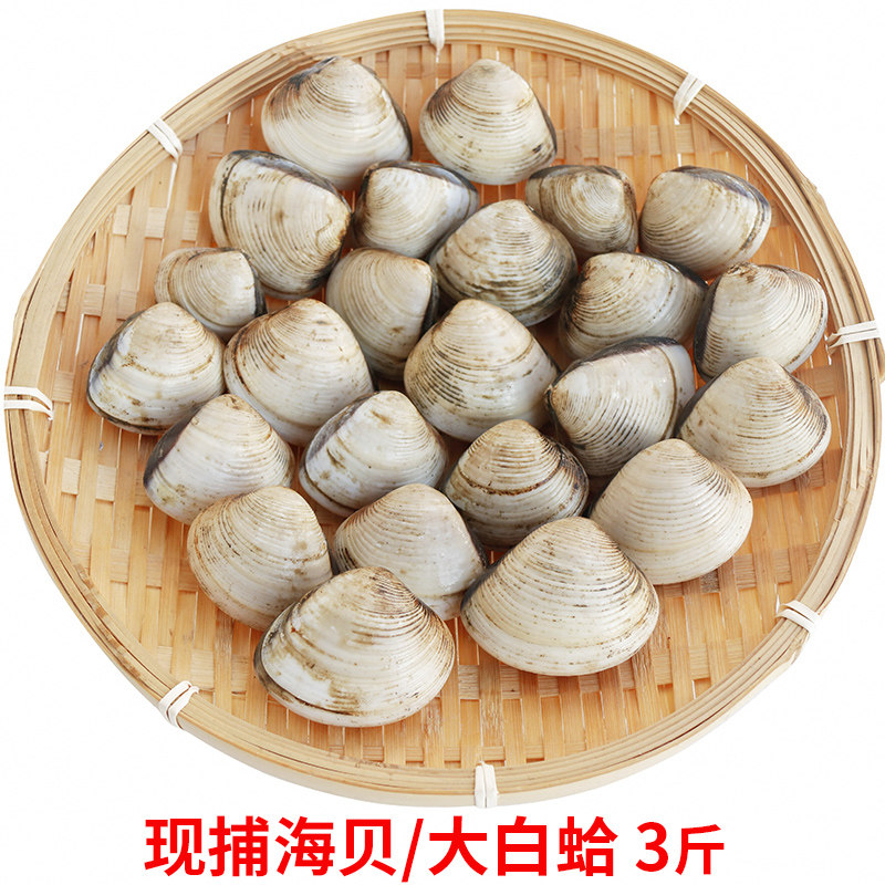 听说你爱吃海鲜?