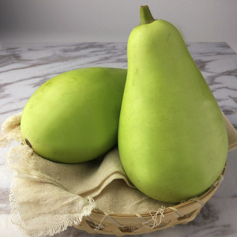 葫芦福建漳州新鲜食用蒲瓜瓠瓜农家种植蔬菜其它