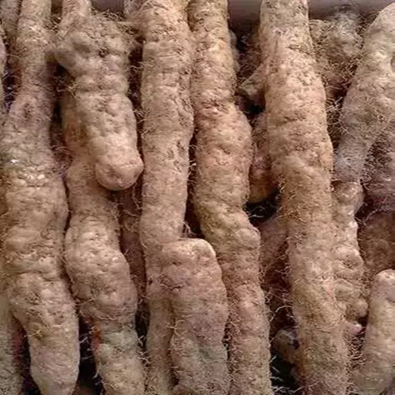 瑞昌山药江西九江特产南阳粉糯久煮不烂4斤包邮农家种宝先生山药