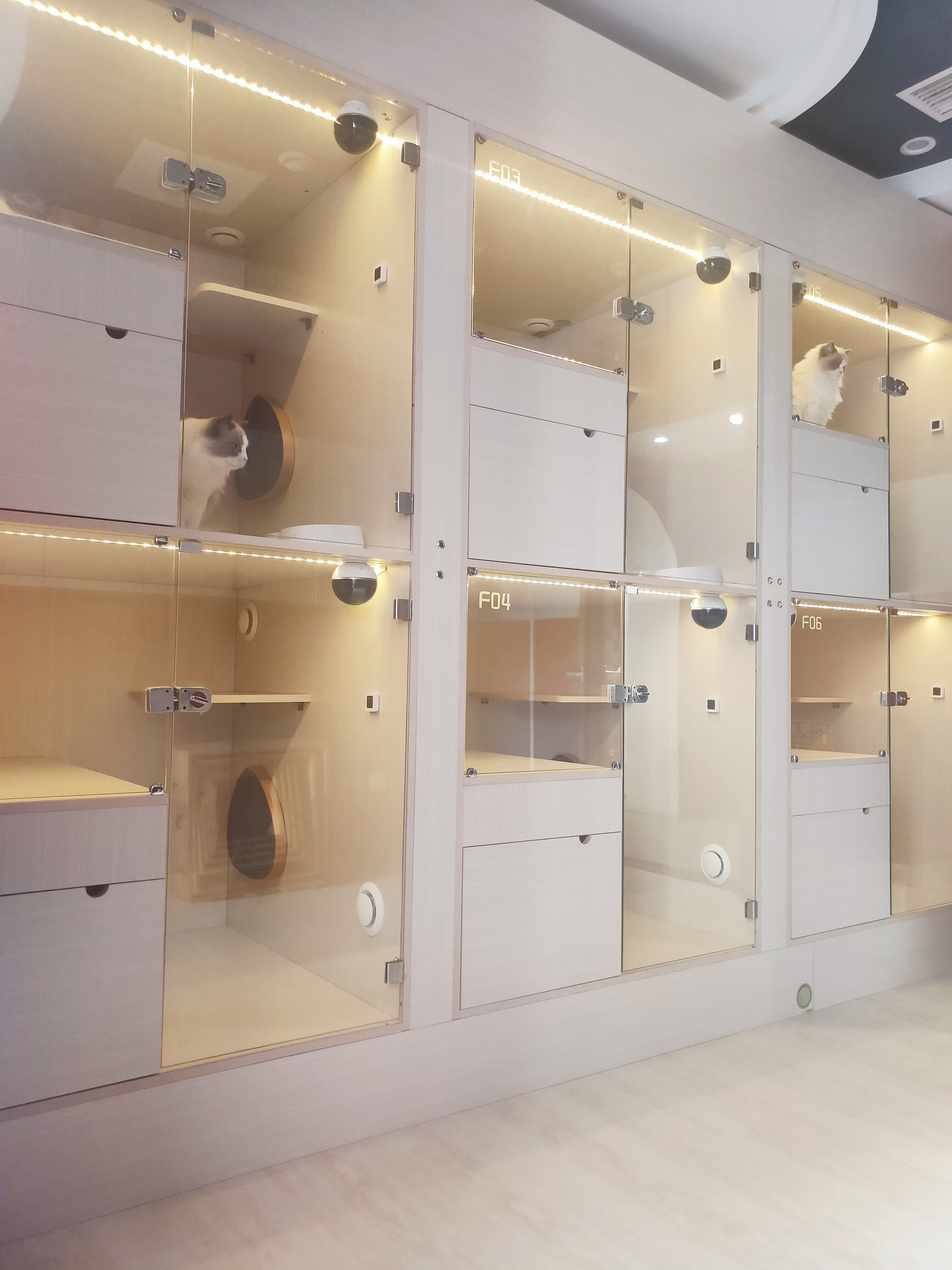 宠儿佳新款实木猫别墅超大空间防水猫舍宠物店寄养猫展柜网红猫屋