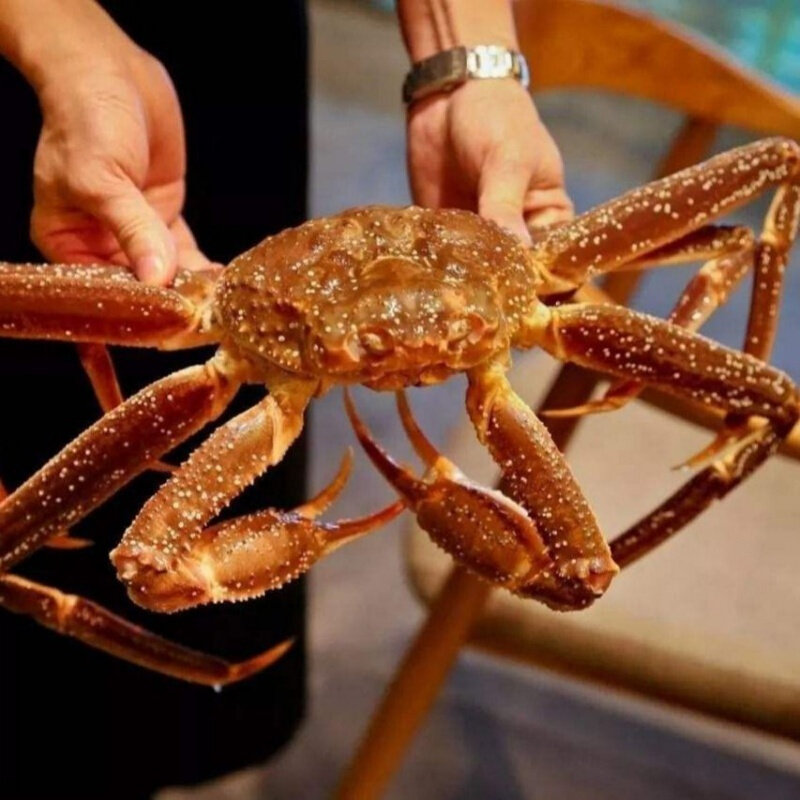 鲜活松叶俄罗斯长脚日本雪蟹帝王蟹大板蟹2斤鳕蟹