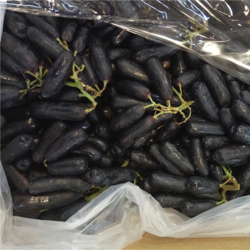 金手指顺丰美人葡萄黑加仑四斤无籽纯甜水果新鲜葡萄