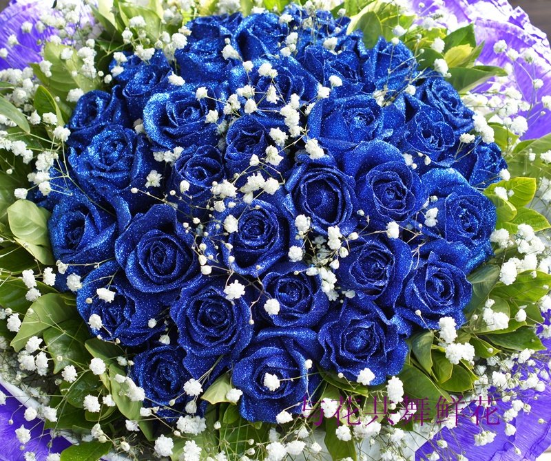 33枝蓝色妖姬玫瑰花厦门鲜花同城鲜花速递鼓浪屿爱情花店鲜花速递同城