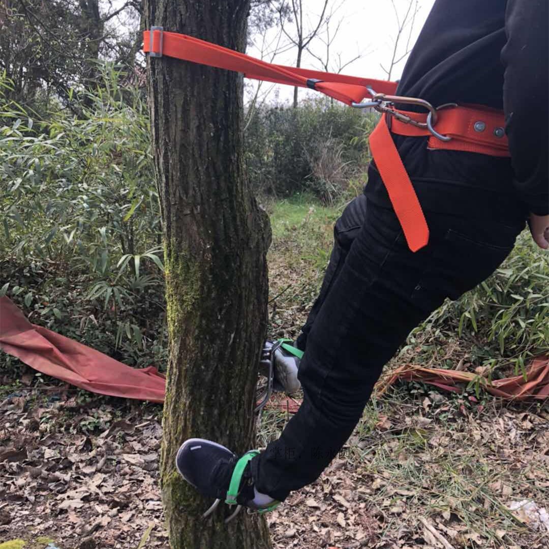 新款五抓上树专用工具爬树神器马蜂不锈钢猫爪电工维修工具