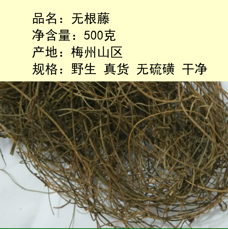 无根藤草的功效图片