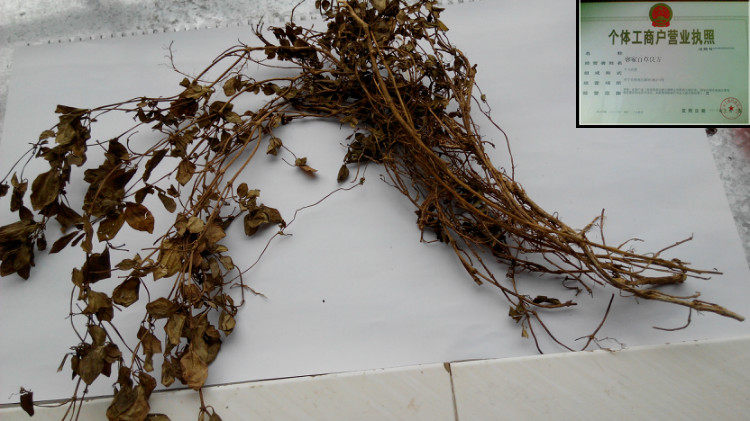 地茄根 矮脚稔 地稔根 铺地锦 全草500g 新货包邮 另有血风藤_爱酷商