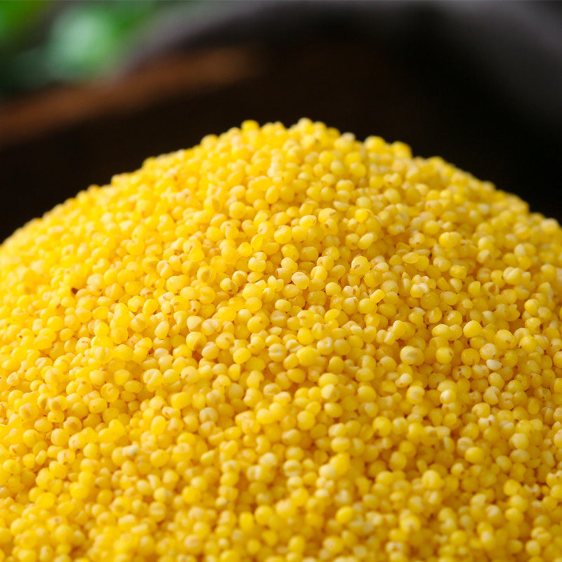 府谷特产小米谷子2020新米农家食用稀饭稀粥小米