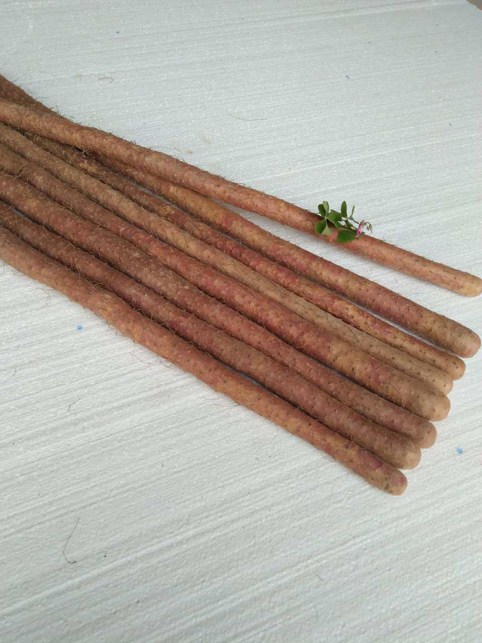 乌鸡甄选红皮5斤温县铁棍山药新鲜河南焦作新鲜山药