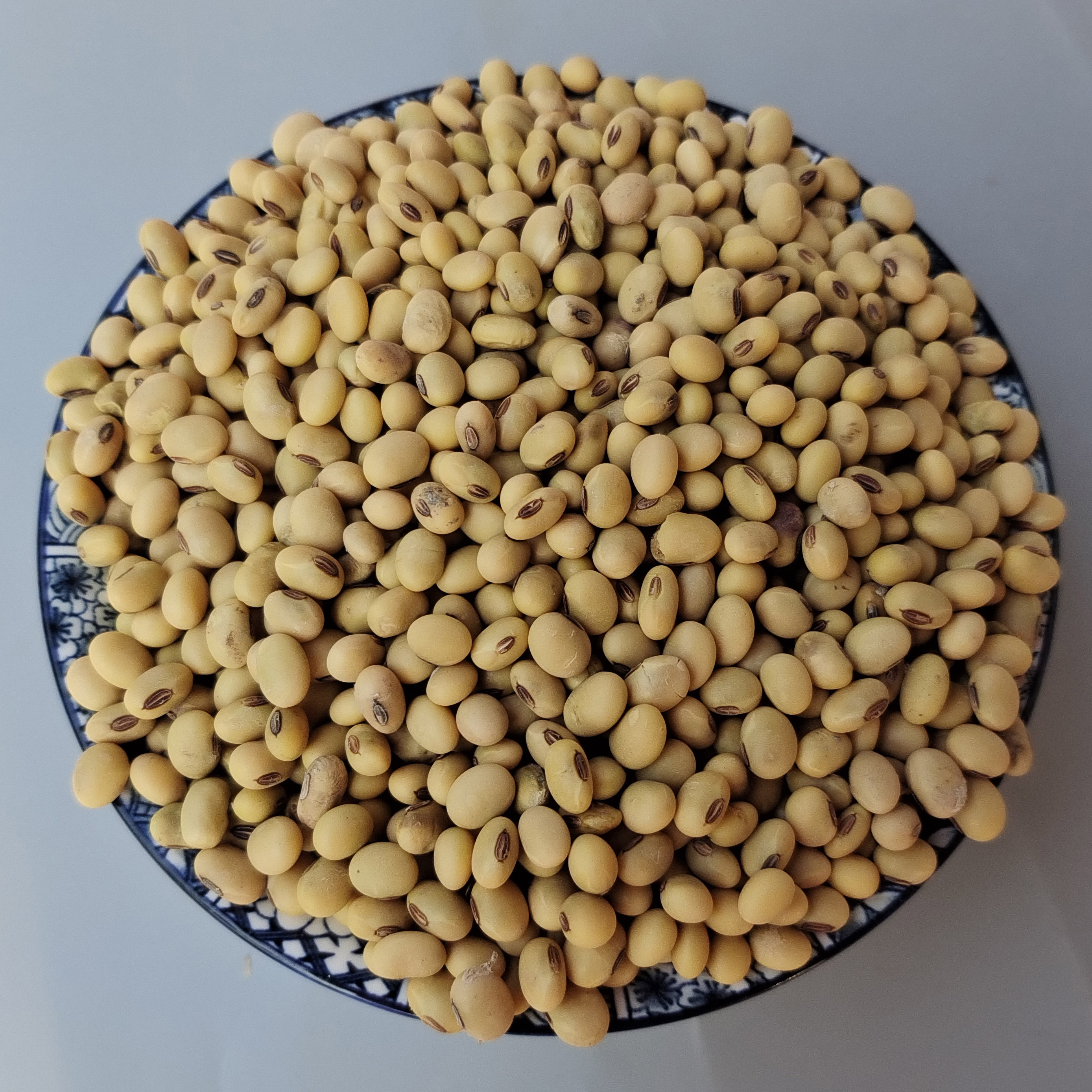 黄豆重庆特产椭圆形品种大豆农家自种新土10斤黄豆