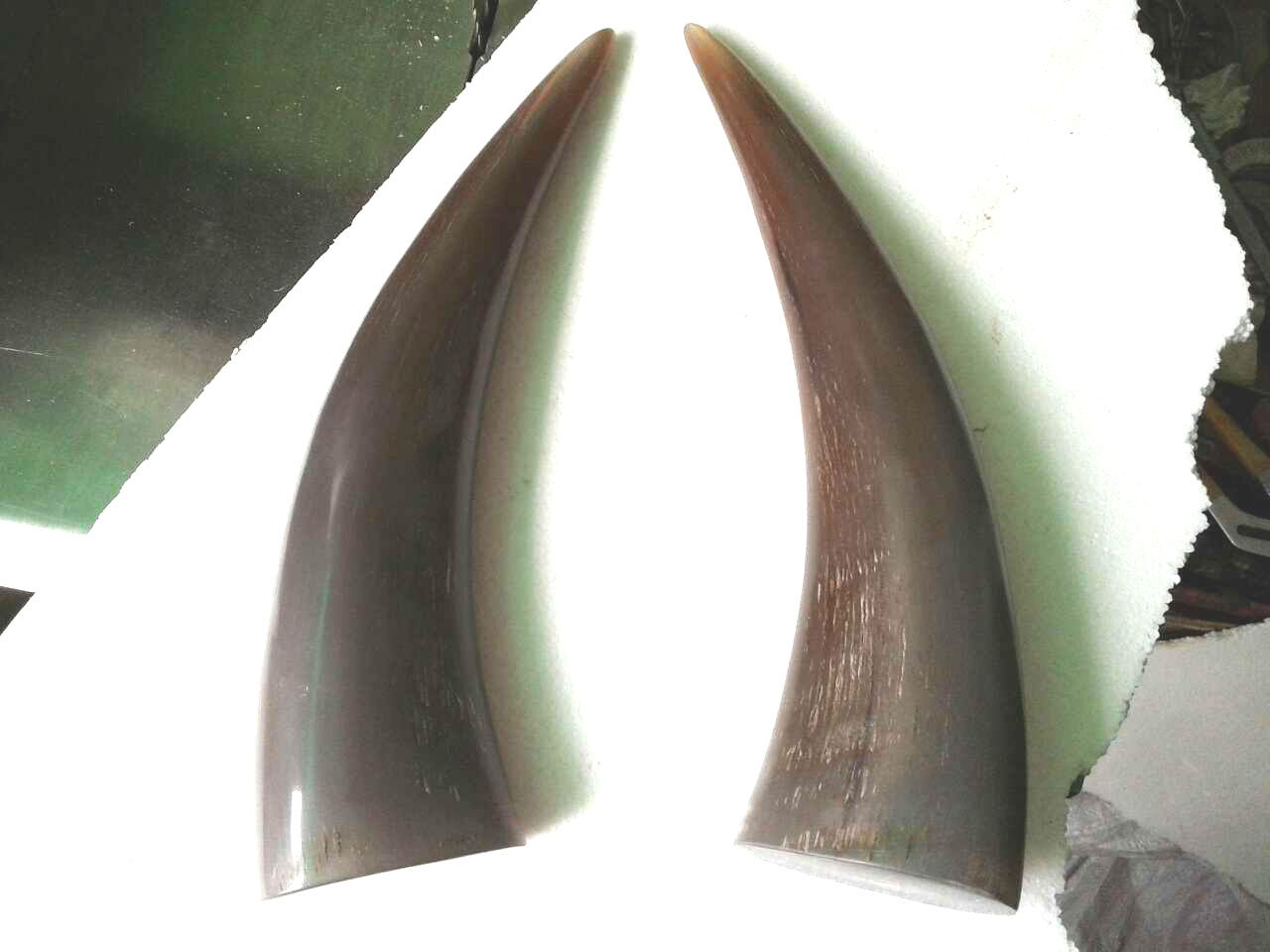 实心白水牛角尖 收藏品 适合雕刻作品 手工艺摆件 抛光白水牛角尖