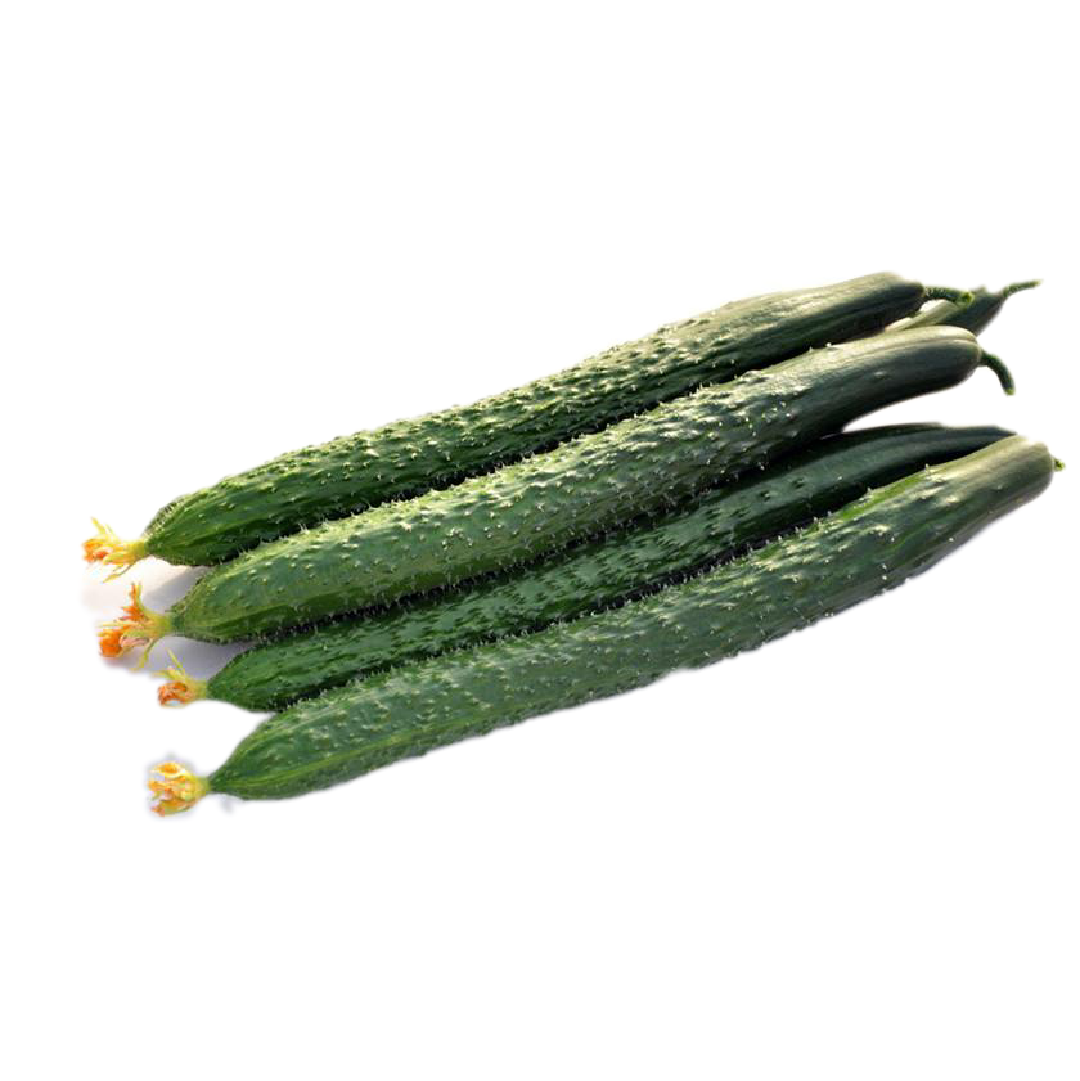 黄瓜5斤现摘新鲜农家蔬菜孕妇生吃大青装包黄瓜