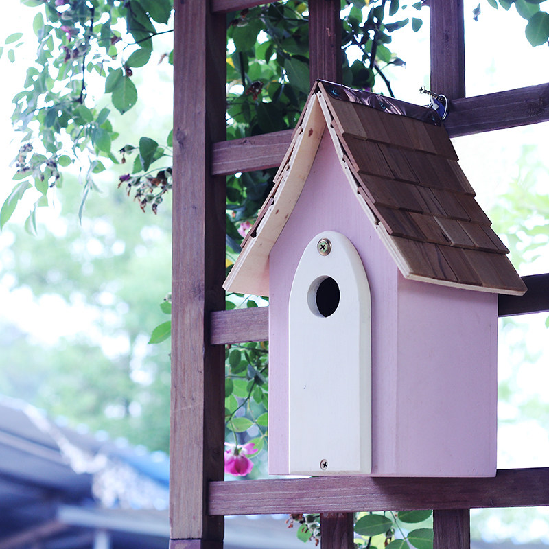 英格兰粉色春日鸟巢鸟窝鸟屋英国鸟类保护协会笼子