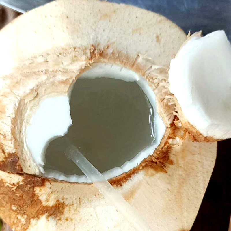 海南南大椰子青皮椰青热带新鲜好喝当季孕妇椰青