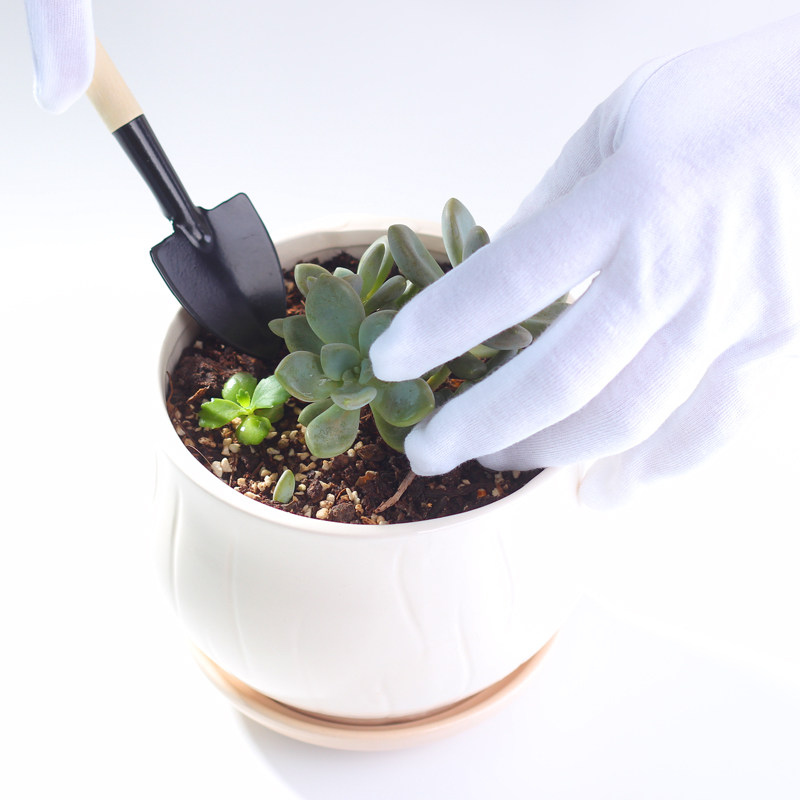 园艺工具件套种植套装多肉植物铲子铲子
