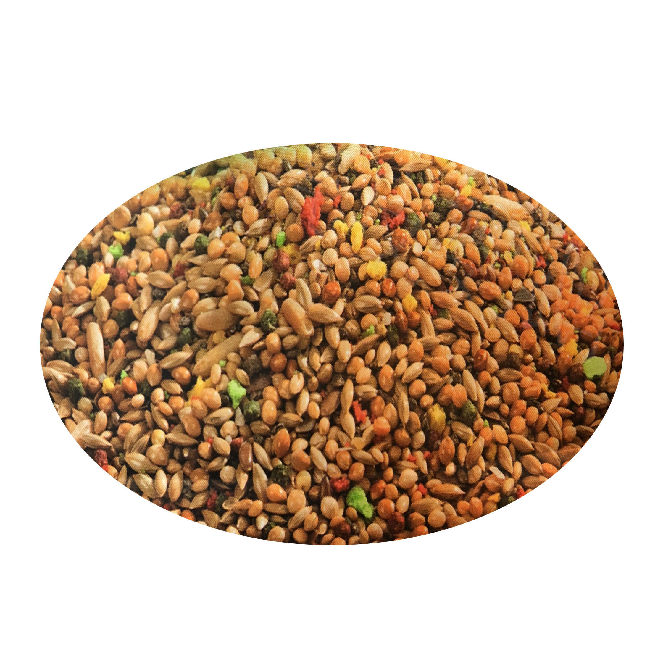 包邮比利时凡赛尔虎皮牡丹鹦鹉专用饲料鸟食谷子鸟食