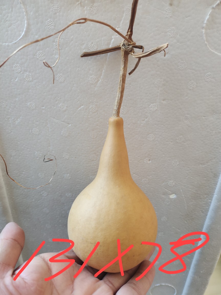人气天然把玩单肚蒜头油锤异形长颈葫芦工艺品葫芦