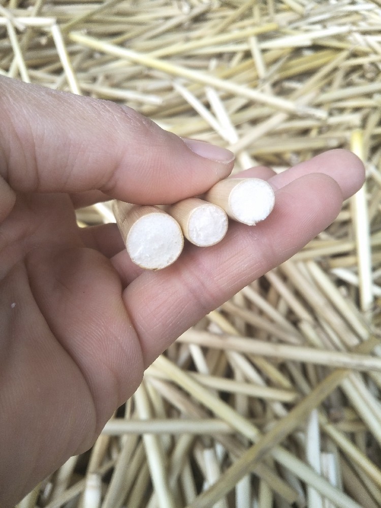 芦苇南荻杆云漂杆鱼漂箭杆手工材料浮漂diy浮漂