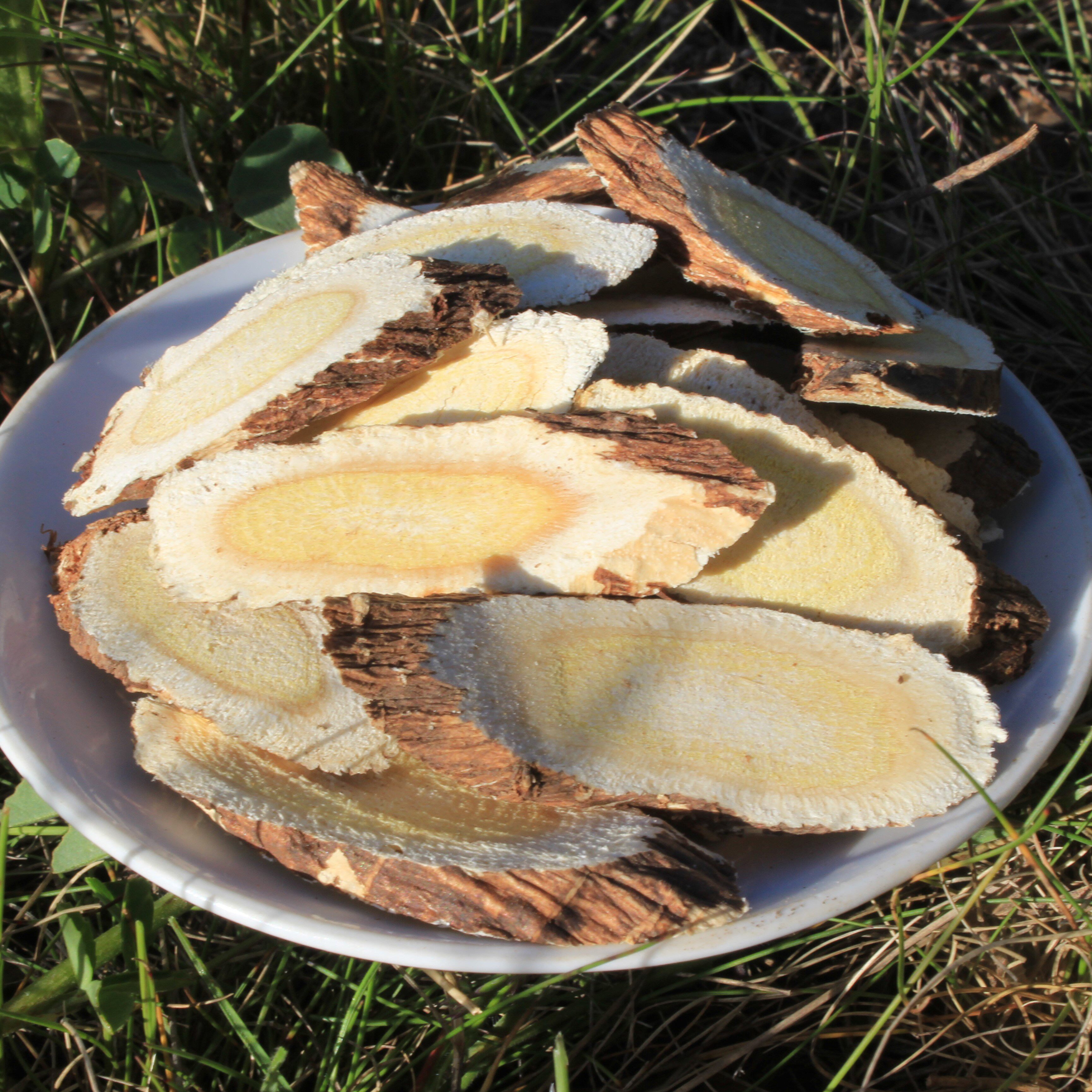 特级甘肃省岷县纯天然野生红芪整根切片500g包邮黄芪