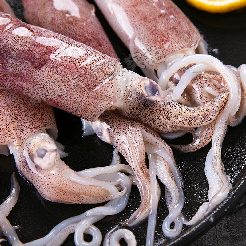 新鲜东山小管带膏满籽冷冻海兔子鲜活笔管全母籽乌墨鱼章鱼八爪鱼