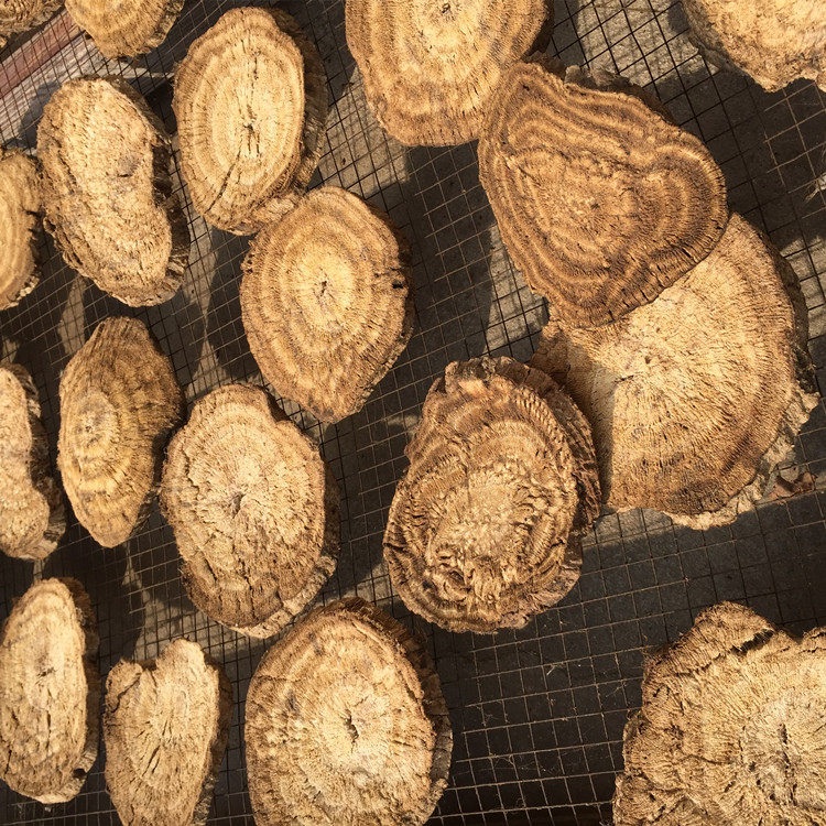 神农架老葛根葛根片野生柴葛根大圆圆片年轮15年以上天然粉粉食品