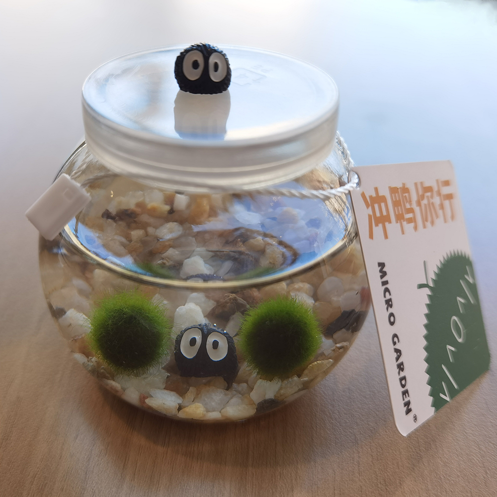 爱打扮(www.idaban.cn)，马里莫海藻球生态瓶生日礼物送闺蜜水培养植物水草小宠物微景观