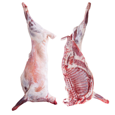 宁夏盐池半只15斤羔羊生羊肉