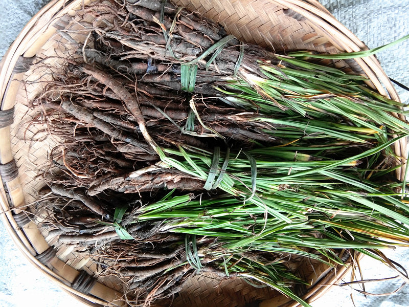 贵州中药材仙茅根500g农产品原药独脚仙茅苗地棕根其他药食同源食品