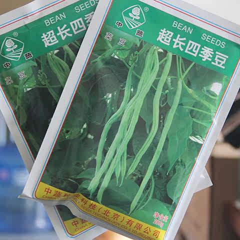 超长四季豆种子绿条架豆菜豆种子脆嫩味甜中蔬春季蔬菜种子200g