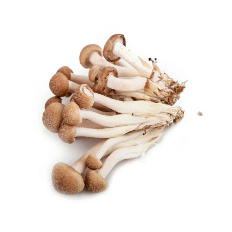 火锅食材 新鲜菌菇 蟹味菇 真姬菇 1包袋4斤