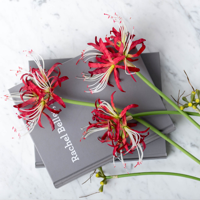 仿真彼岸花假花曼陀罗装饰旅拍干花花束客厅摆设仿真花